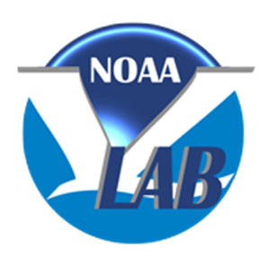 Storm Surge V-Lab